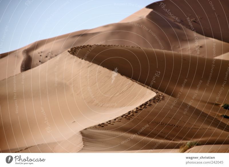 Dunes Abenteuer Ferne wandern Landschaft Sand Wärme Dürre Wüste Düne Unendlichkeit natürlich Tapferkeit Kraft ruhig Durst Erschöpfung Einsamkeit