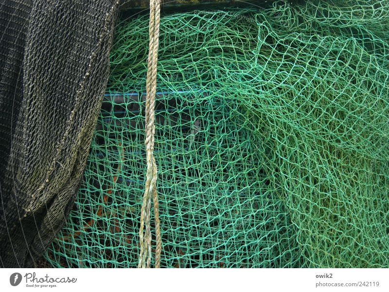 Seile und Netze authentisch einfach Unendlichkeit einzigartig nah natürlich viele grau grün Fischereiwirtschaft Fischernetz Tau Farbfoto Außenaufnahme