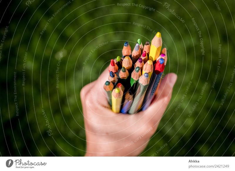 Vielfalt, Hand mit Buntstiften vor grünem Hintergrund Bildung Erwachsenenbildung Kindergarten Schule lernen Berufsausbildung Azubi Studium Werbebranche Handwerk