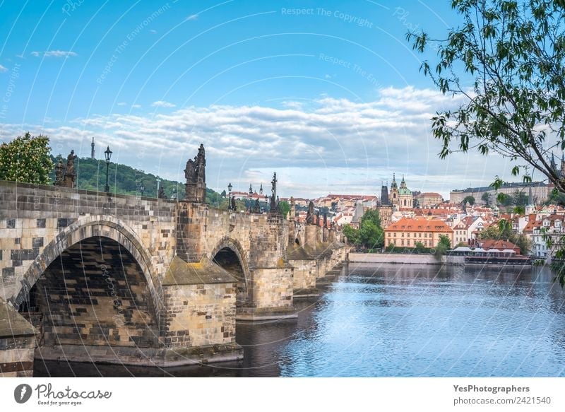 Karlsbrücke an der Seite und Prag Stadt Lifestyle schön Ferien & Urlaub & Reisen Sommer Kunst Landschaft Altstadt Gebäude Architektur Sehenswürdigkeit