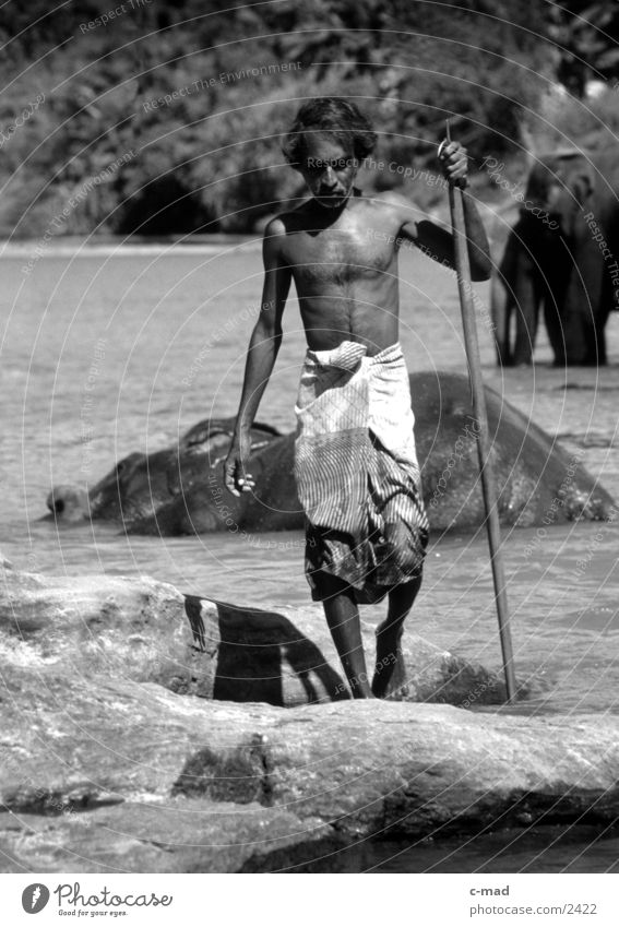 Mahout - Sri Lanka Elefant Arbeit & Erwerbstätigkeit Mann Mensch Wasser Schwarzweißfoto