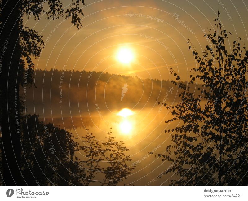 Schweden - Natur pur Sonnenuntergang Reflexion & Spiegelung Wasserspiegelung Baum Dämmerung Nebel See Färbung Horizont blenden Sonnenstrahlen ruhig Blatt Tanne