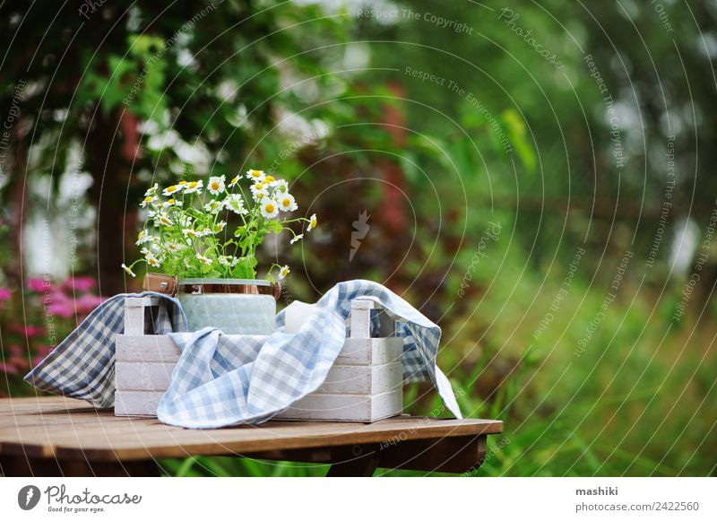 Wunderschöne Sommerszene mit Blumenstrauß der Kamille Freizeit & Hobby Garten Dekoration & Verzierung Tisch Natur Pflanze Stoff Wachstum frisch hell natürlich