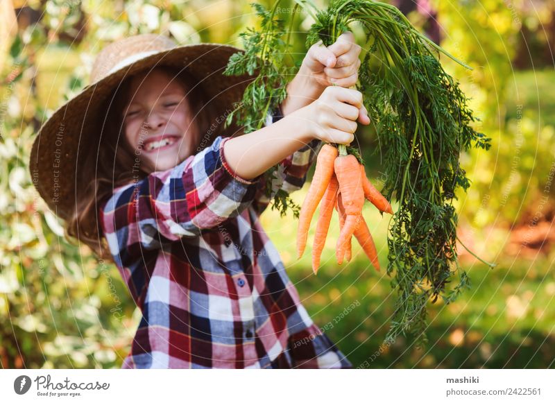 glücklich Bauer Kind Mädchen Ernte frisch zu Hause Wachstum Karotte Gemüse Lifestyle Freude Familie & Verwandtschaft Natur Landschaft Herbst lustig natürlich