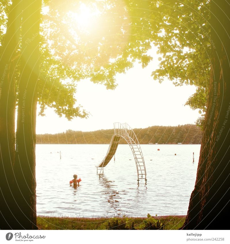 mutprobe Schwimmen & Baden Schwimmbad Mensch 1 3-8 Jahre Kind Kindheit Spielen Rutsche Wasser See Baum ufer Schwimmhilfe Wasserrutsche Nichtschwimmer Freude