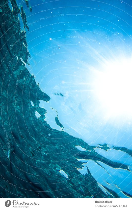 Fischperspektive Ferien & Urlaub & Reisen Sommerurlaub Sonne Meer Wellen tauchen Wasser Schönes Wetter glänzend leuchten nass verrückt blau Farbe Inspiration