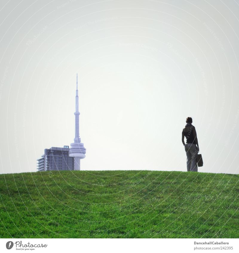 Ferne Städtereise Mensch Frau Erwachsene Wiese Hügel Toronto Kanada Stadt Stadtrand Skyline Hochhaus Turm Sehenswürdigkeit stehen Freude Einsamkeit nachdenklich