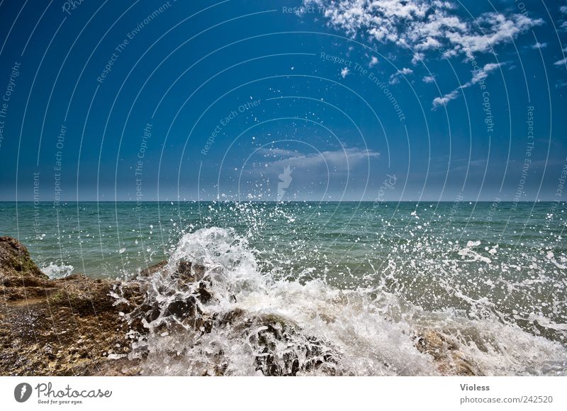 Splash V Landschaft Wasser Wassertropfen Himmel Sonnenlicht Sommer Wellen Strand Erholung blau Coolness Portugal Algarve Fels Brandung Gischt
