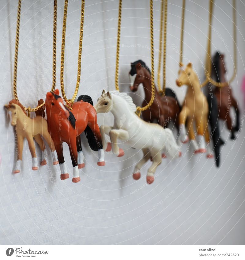 Mädchen-Kette Stil Design schön Kindheit Accessoire Schmuck Tier Pferd Tiergruppe schaukeln Pony Farbfoto