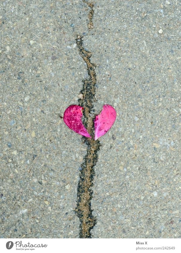gebrochenes Herz Stein Gefühle Verliebtheit Liebeskummer Trennung Scheidung herzförmig Riss Sorge Traurigkeit rot rosa Blütenblatt Farbfoto Außenaufnahme