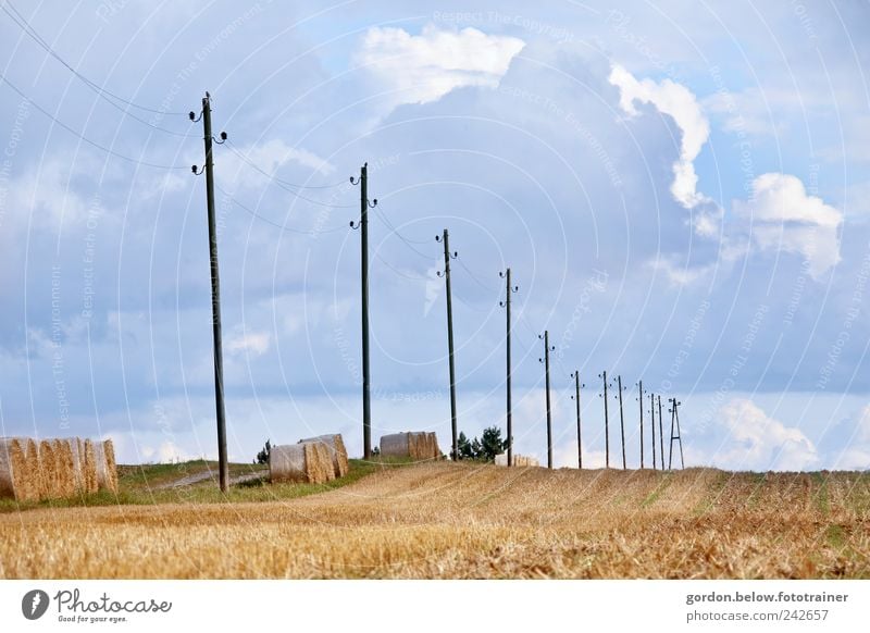 Strommasten I Getreide Sommer Technik & Technologie Energiewirtschaft Energiekrise Umwelt Landschaft Himmel Wolken Gewitterwolken Klimawandel Schönes Wetter