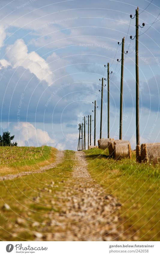 Strommasten II Landschaft Erde Wege & Pfade fahren kaputt Ziel Erneuerbare Energie Fußweg Gewitterwolken Wolkenhimmel Kieselsteine Farbfoto
