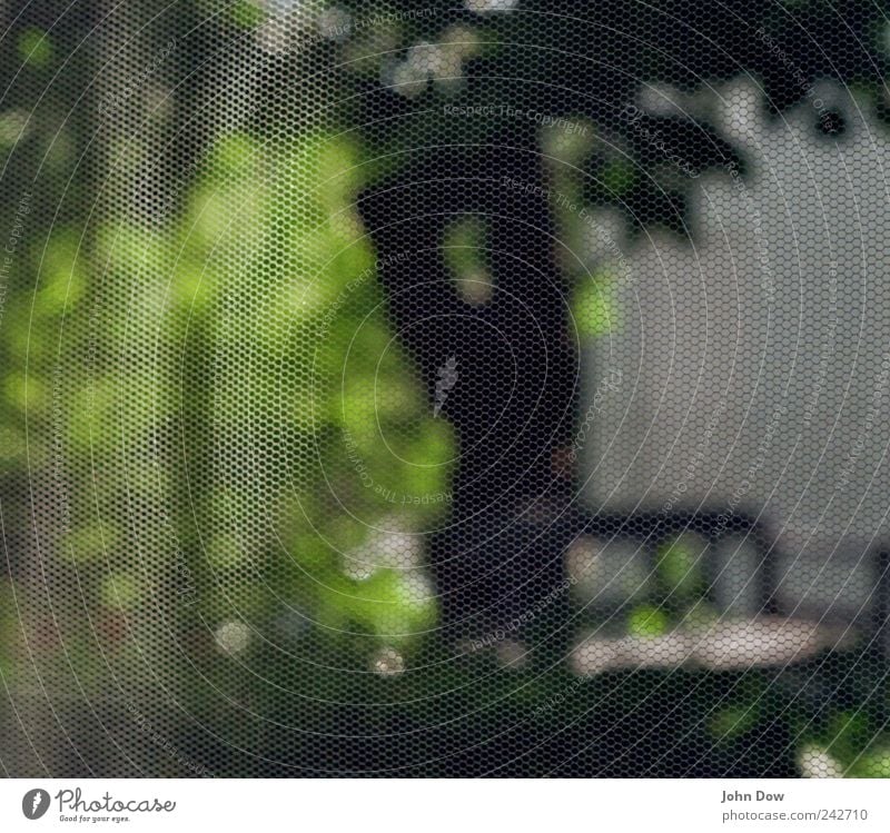 Transparenz Häusliches Leben Schönes Wetter Baum Gras Sträucher Garten Park Schutz Netzwerk netzartig Schlaufe Bildpunkt Fliege Insektenschutz Muster gewebt