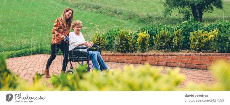 Frau, die ihre Mutter im Rollstuhl trägt. Lifestyle Glück Gesundheitswesen Erholung Garten sprechen Mensch Erwachsene Großmutter Familie & Verwandtschaft Natur