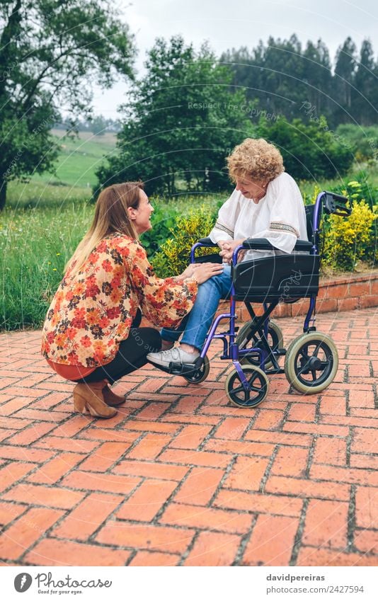 Junge Frau im Gespräch mit einer älteren Frau im Rollstuhl Lifestyle Gesundheitswesen Erholung Garten sprechen Mensch Erwachsene Mutter Großmutter