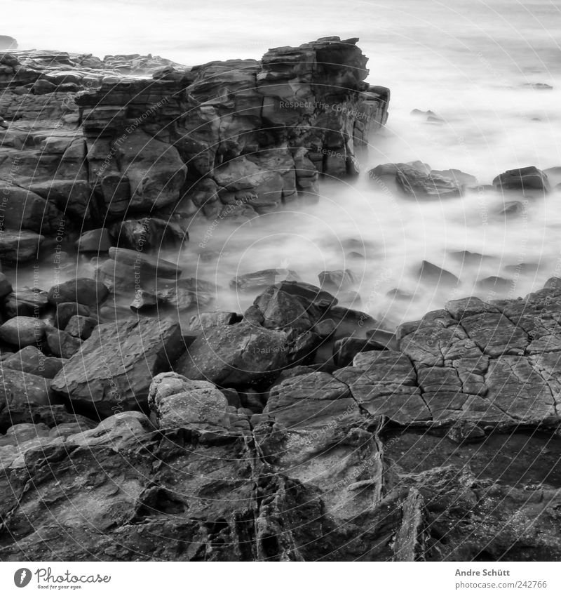 on the rocks (3) Umwelt Urelemente Erde Wasser Felsen Wellen Küste außergewöhnlich bedrohlich nass stark Australien Langzeitbelichtung steinig Schwarzweißfoto