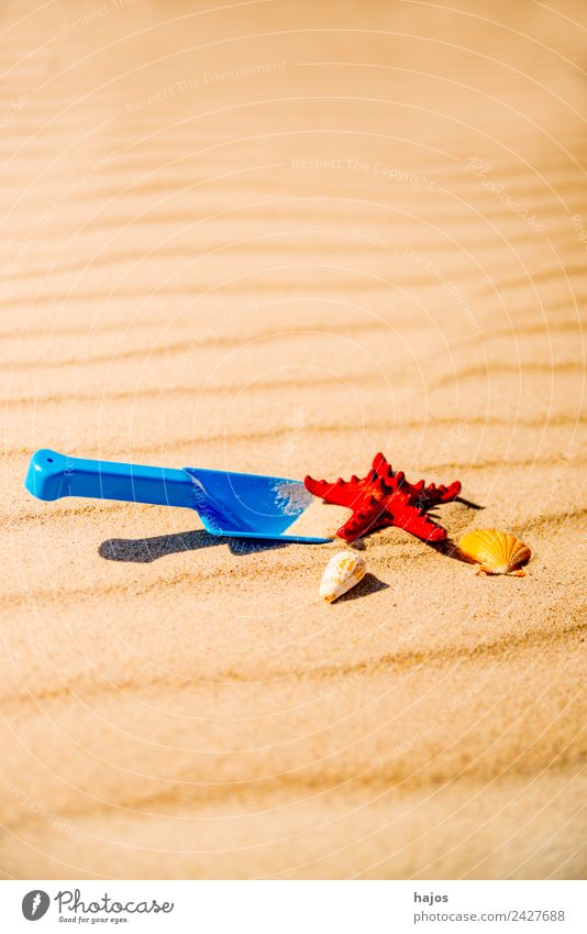 Spielzeugschaufel mit Seestern an einem Strand Freude Erholung Freizeit & Hobby Spielen Ferien & Urlaub & Reisen Tourismus Sommer Kind Sand Fröhlichkeit Wärme