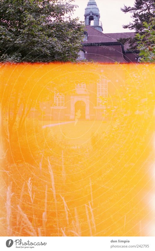 es wird immer schlimmer Garten Sommer Park Altona Menschenleer Kirche heiß hell retro Warmherzigkeit analog Light leak orange alt Farbfoto Außenaufnahme