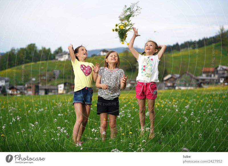 Der Frühling kommt Freiheit Mädchen Kindheit 3 Mensch 3-8 Jahre Umwelt Natur Landschaft Wiese lachen werfen Freude Glück Fröhlichkeit Blumenstrauß kinderlachen