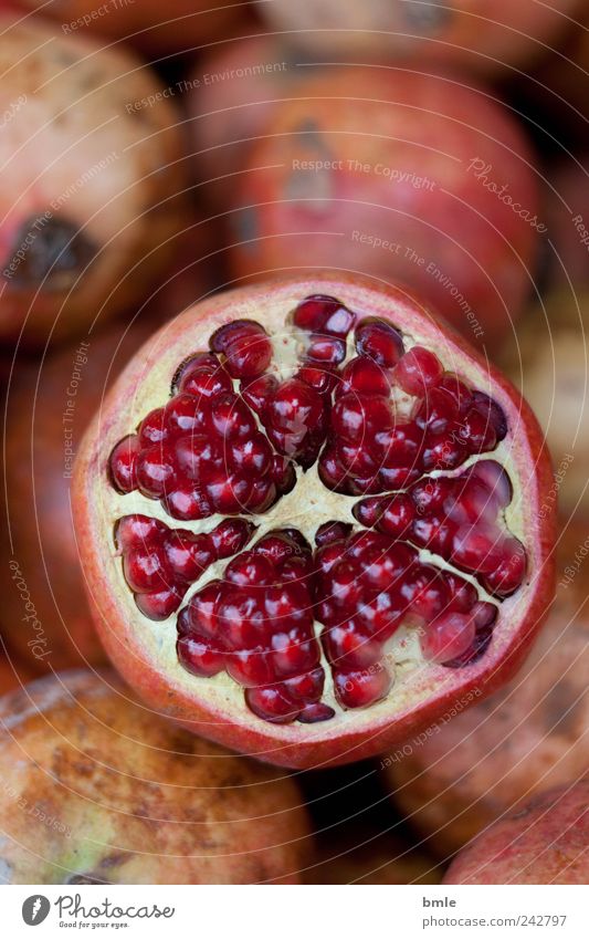 Granatapfel Lebensmittel Frucht Dessert Bioprodukte Natur exotisch Dekoration & Verzierung Zeichen frisch lecker rund saftig süß braun rosa rot Lust Glaube