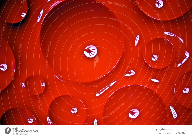 Bubbles Tapete Finger 1 Mensch Kunst rot Farbfoto mehrfarbig Innenaufnahme Nahaufnahme Detailaufnahme Experiment abstrakt Muster Licht Kontrast