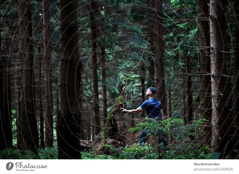 Kontakt mit einem Alien Lifestyle Sinnesorgane Meditation Mann Erwachsene 1 Mensch Natur Pflanze Sommer Baum Wald T-Shirt Mütze beobachten berühren