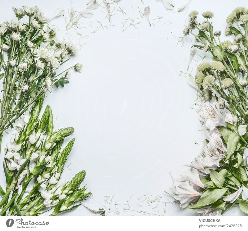 Grün weißen Blumen auf weiße Hintergrund kaufen Design Feste & Feiern Muttertag Hochzeit Geburtstag Business Natur Pflanze Dekoration & Verzierung Blumenstrauß