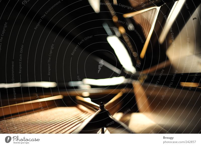 Steinway & Sons Musiker Künstler Konzert Orchester Klavier Flügel Saite Resonanz Charakter Mechanik klangvoll außergewöhnlich elegant gold Stimmung Kraft