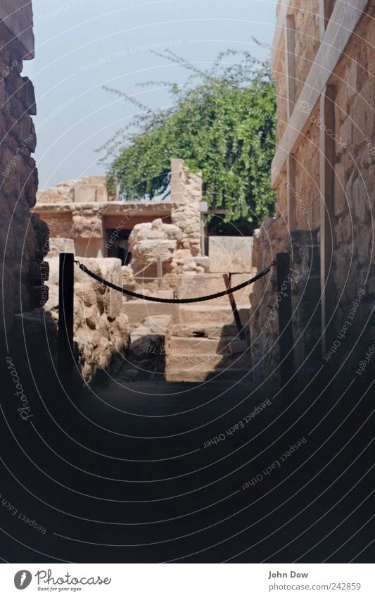 Knossos Ausflug Sträucher Mauer Wand Treppe Fassade alt historisch Schüchternheit Museum Archäologie Ruine Ausgrabungen Hochkultur Mythologie Fundstück