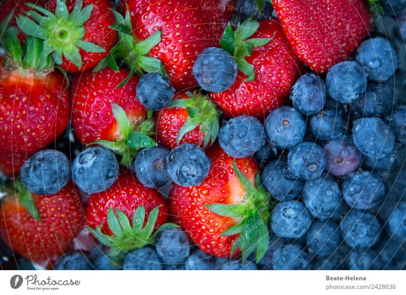 Erdbeer-Heidelbeer-Früchteauslese Lebensmittel Frucht Dessert Süßwaren Lifestyle Gesundheit Wohlgefühl Natur Nutzpflanze Diät Essen genießen fantastisch frisch