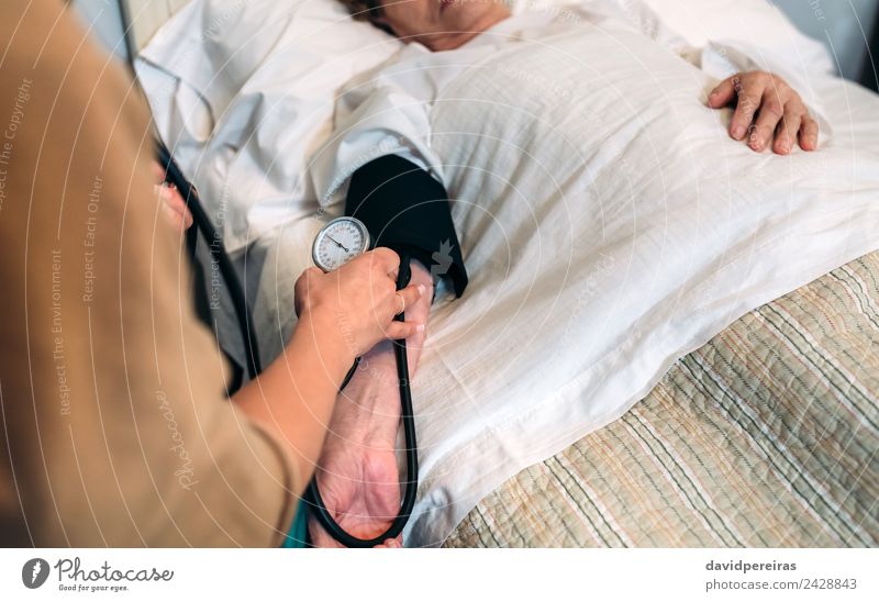 Betreuerin, die den Blutdruck einer älteren Frau überprüft. Krankheit Medikament Haus Prüfung & Examen Arzt Krankenhaus Mensch Erwachsene Hand Herz alt
