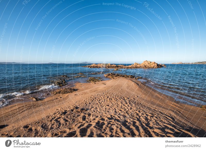 Landzunge Sardinien (Nord), Meer Ferien & Urlaub & Reisen Tourismus Ausflug Freiheit Sommer Sommerurlaub Sonne Strand Insel Wellen Landschaft Wolkenloser Himmel