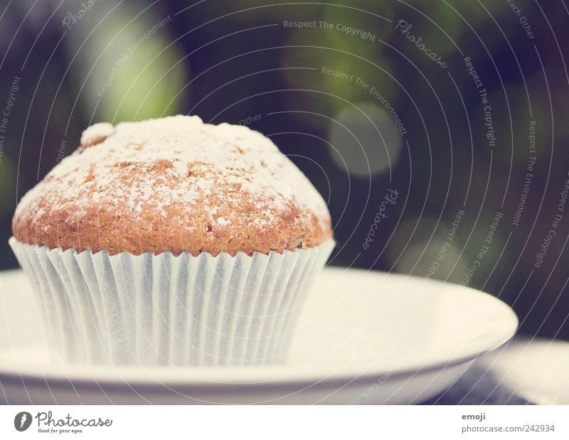 Muffin, gepudert Teigwaren Backwaren Dessert Süßwaren Fingerfood lecker ungesund Teller Tellerrand Puderzucker Farbfoto Außenaufnahme Hintergrund neutral