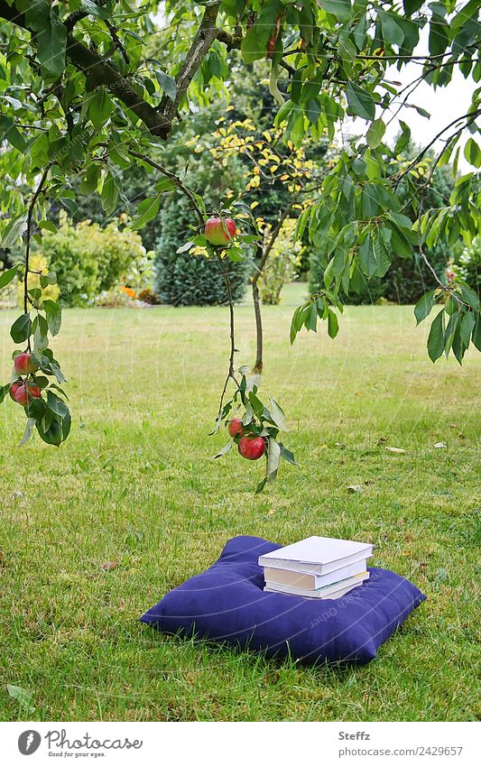 Lesen im Garten Erholung Bücher Bücherstapel Lesestoff Literatur Lektüre Zufriedenheit ruhig lesen genießen Idylle idyllisch Wissen Studium lernen entspannen