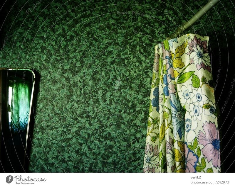 Schöner Duschen Häusliches Leben Dekoration & Verzierung Spiegel Bad Duschvorhang Mauer Wand Tapetenmuster bizarr Glas Kunststoff ästhetisch außergewöhnlich
