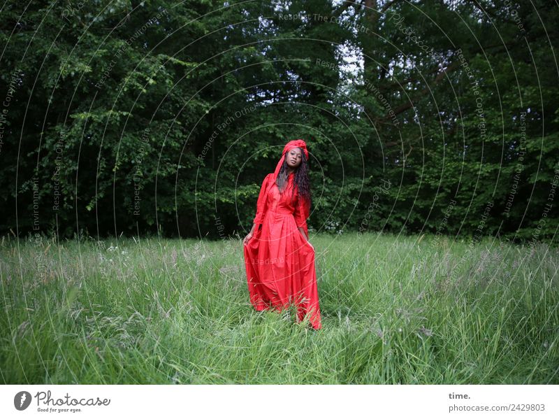 Romancia feminin Frau Erwachsene 1 Mensch Schönes Wetter Park Wiese Wald Kleid Kopftuch brünett langhaarig beobachten gehen Blick stehen schön grün rot