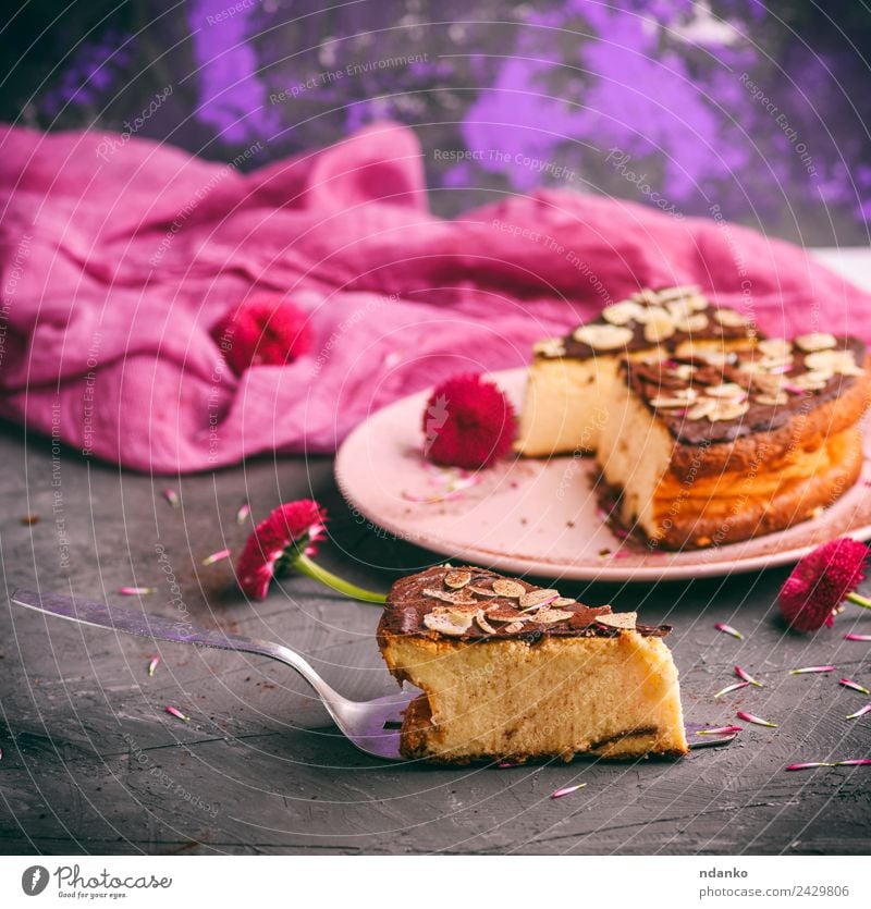 Käsekuchenstückchen mit Schokolade Milcherzeugnisse Dessert Mittagessen Teller Restaurant Blume Essen frisch lecker rosa schwarz Kuchen Mandel Hintergrund