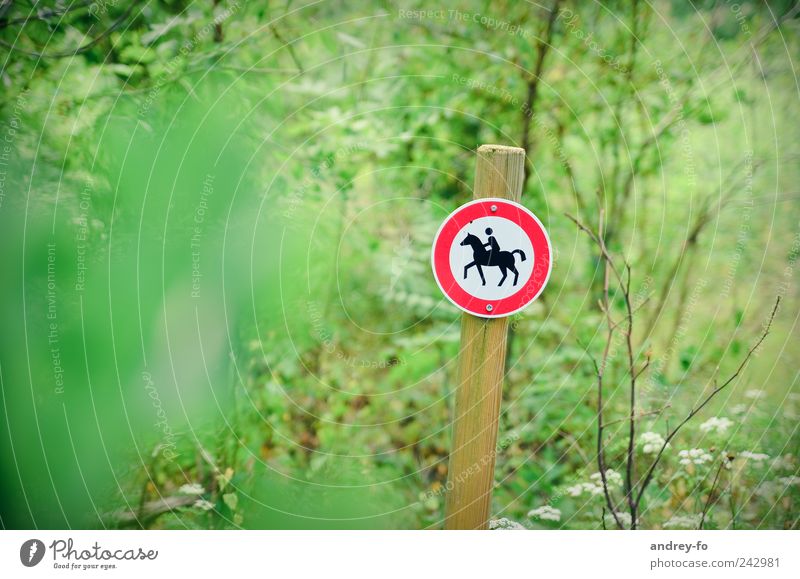 Reiten verboten! Natur Sommer Park Wald Verkehrsmittel Pferdekutsche 1 Tier Zeichen Schilder & Markierungen Verbote grün rot Verbotsschild Reitsport Sträucher