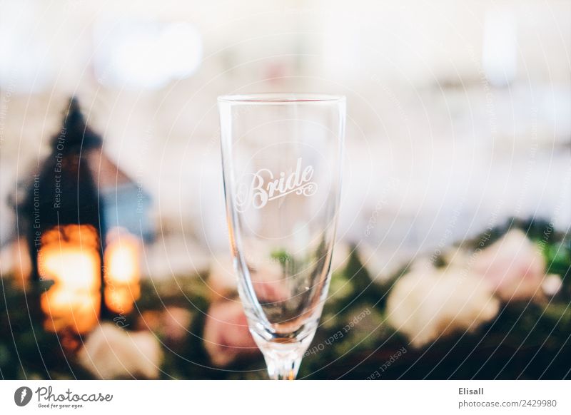 Braut Champagnerglas Lifestyle kaufen Reichtum elegant Stil Design Freude Gefühle Stimmung Hochzeit Sektglas Detailaufnahme Dekoration & Verzierung