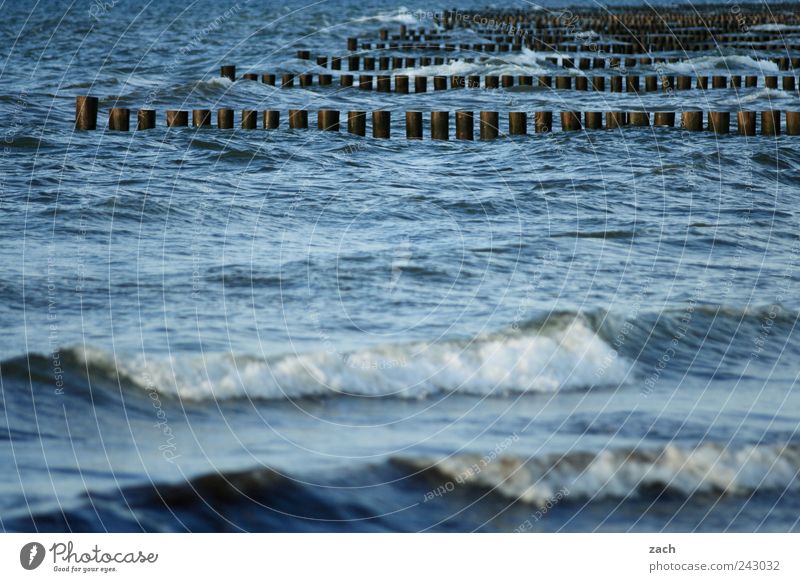 Ostsee Schwimmen & Baden Natur Wasser Wind Wellen Küste Bucht Nordsee Holz nass blau Buhne Gischt Farbfoto Außenaufnahme Menschenleer Textfreiraum unten Tag