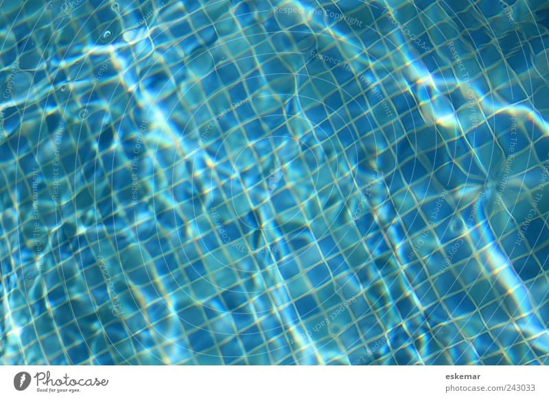 Pool Freude Wellness Leben harmonisch Wohlgefühl Erholung Kur Spa Schwimmen & Baden Sommer Schwimmbad swimming-pool ästhetisch authentisch frisch nass