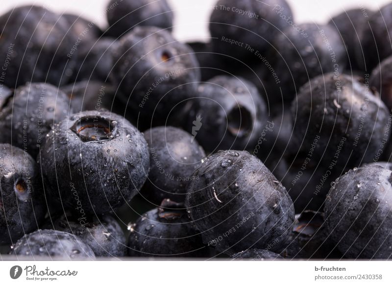 Jede Menge Heidelbeeren Lebensmittel Frucht Bioprodukte kaufen frisch Gesundheit blau violett schwarz Blaubeeren Ernte Marktstand Vitamin viele Essen zubereiten