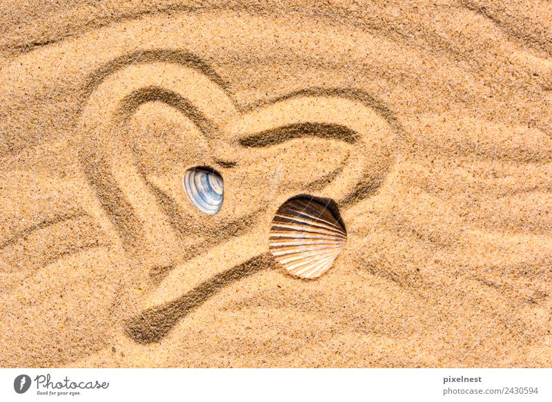 Heart in the Sand Freude Sommer Sommerurlaub Strand Wärme Muschel Zeichen Herz Erholung Liebe maritim Gefühle Freizeit & Hobby Freundschaft