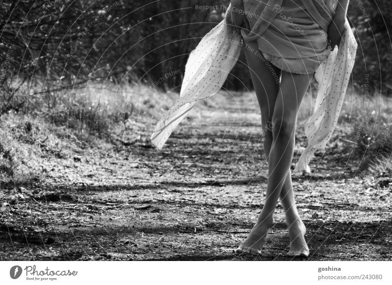As I Walk Alone feminin Junge Frau Jugendliche Beine Natur Landschaft Erde Park Kleid atmen gehen genießen laufen ästhetisch dünn elegant lang natürlich schön