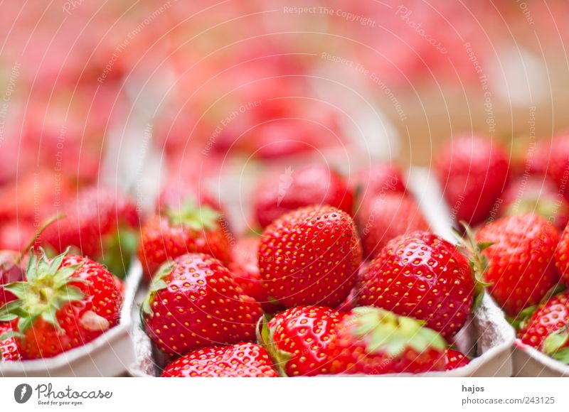 Erdbeeren Frucht Dessert Sommer Landwirtschaft Forstwirtschaft leuchten lecker saftig viele rot süß Essen heimisch Markt Angebot saisonal regional Produkt