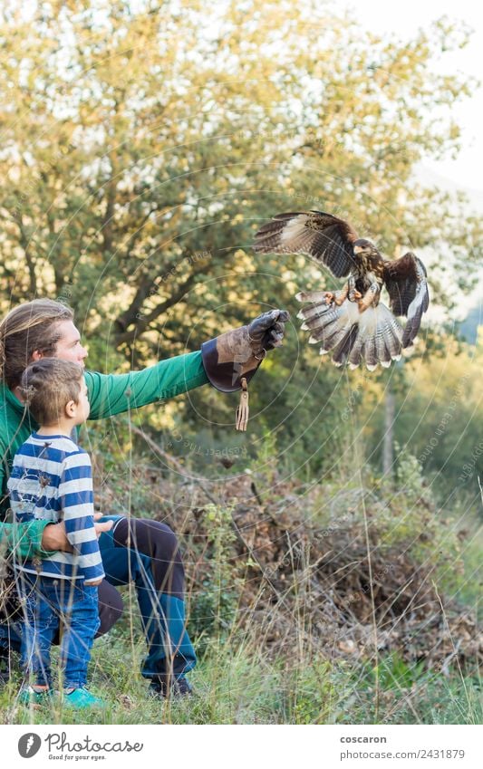 Mann bringt dem Jungen die Kunst der Falknerei mit einem Falken bei. Essen Jagd Sport Kind Baby Erwachsene Natur Tier Leder blond Vogel Flügel fliegen füttern