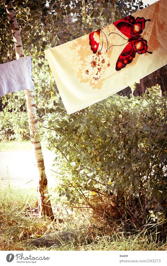 Trockenbau Freizeit & Hobby Ferien & Urlaub & Reisen Camping Umwelt Natur Klima Schönes Wetter Pflanze Baum Sträucher Wiese Schmetterling grün Handtuch