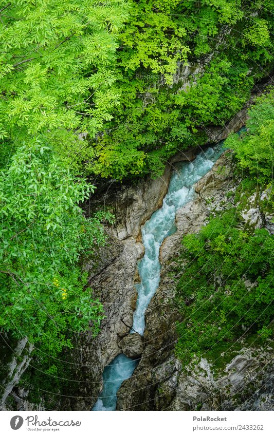 #S# Wildwasser Klamm Umwelt Natur bedrohlich grün Pflanze Naturschutzgebiet Naturphänomene Wasser Stein Felsenschlucht klemmen reißend eng Wege & Pfade steinig