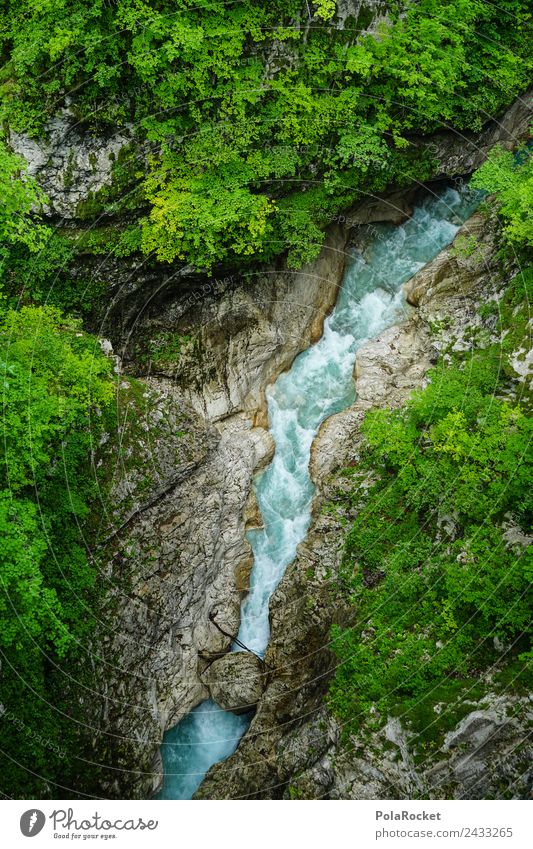 #S# Wildwasser Klamm II Umwelt Natur Geschwindigkeit bedrohlich grün blau Wasser Bach reißend eng wege Wege & Pfade steinig verstopft alternativ Slowenien Fluss