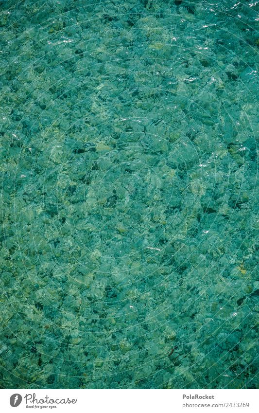 #S# Glasklar Umwelt Natur Flüssigkeit Wasser Wildwasser Smaragd türkis deutlich Fluss Flußbett Slowenien fließen Naturschutzgebiet Naturphänomene Schmelzwasser